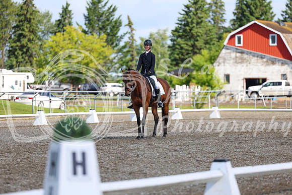 06003 - 2026 Dressage Festival - Sunday July 5th