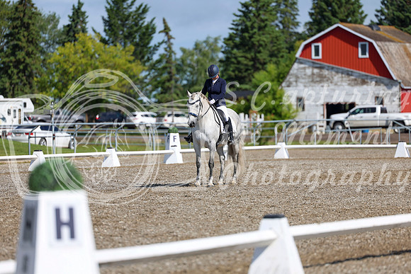 06274 - 2026 Dressage Festival - Sunday July 5th