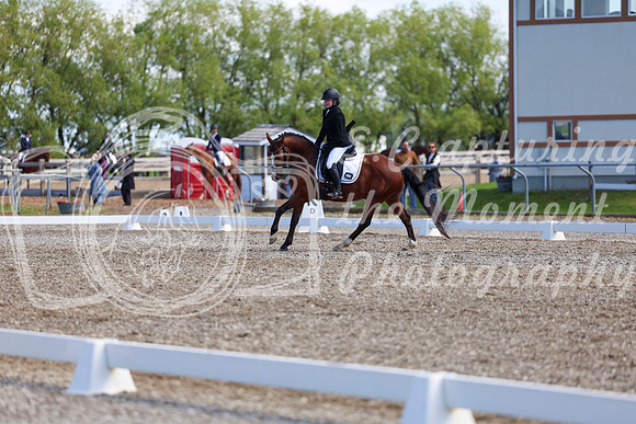 07046 - 2026 Dressage Festival - Sunday July 5th