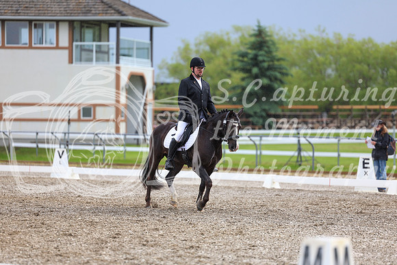 04586 - 2026 Dressage Festival - Sunday July 5th