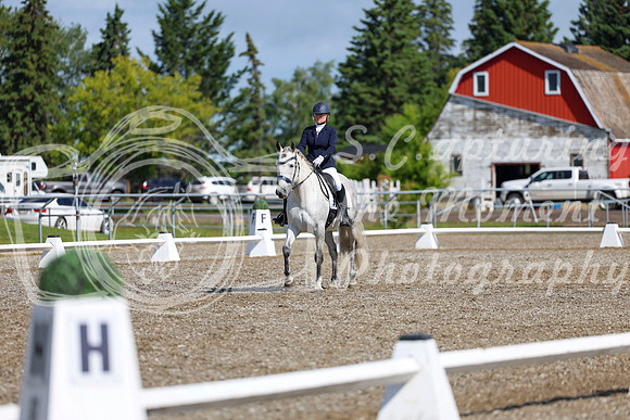 06280 - 2026 Dressage Festival - Sunday July 5th