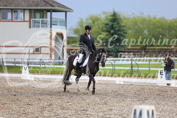 04587 - 2026 Dressage Festival - Sunday July 5th