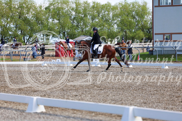 07048 - 2026 Dressage Festival - Sunday July 5th