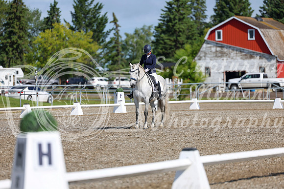 06277 - 2026 Dressage Festival - Sunday July 5th