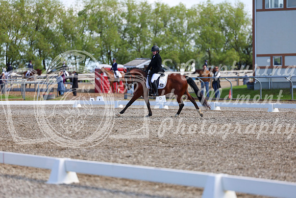 07049 - 2026 Dressage Festival - Sunday July 5th