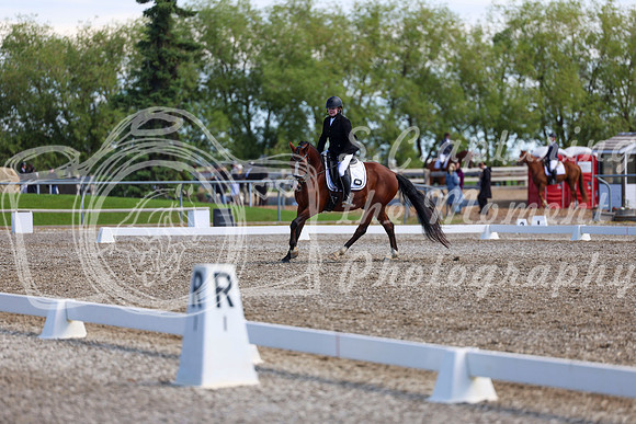 07050 - 2026 Dressage Festival - Sunday July 5th