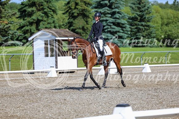 06009 - 2026 Dressage Festival - Sunday July 5th