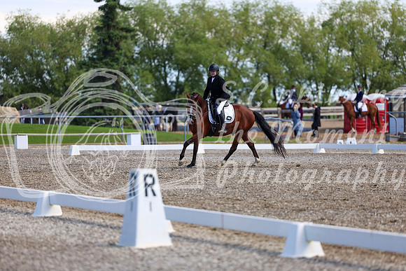 07051 - 2026 Dressage Festival - Sunday July 5th