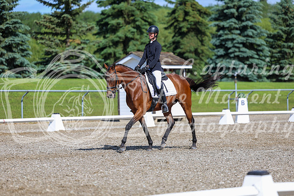 06011 - 2026 Dressage Festival - Sunday July 5th