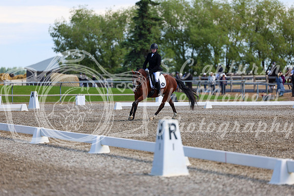07054 - 2026 Dressage Festival - Sunday July 5th