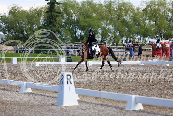 07053 - 2026 Dressage Festival - Sunday July 5th