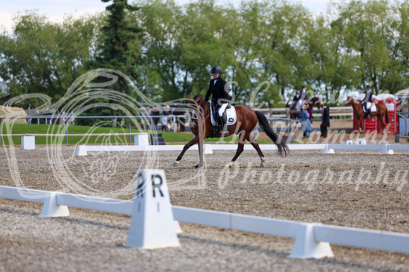 07052 - 2026 Dressage Festival - Sunday July 5th