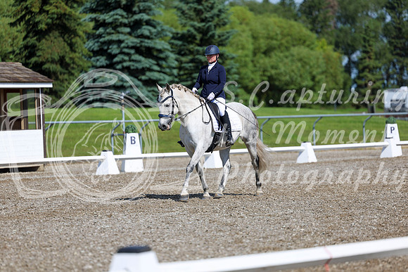 06284 - 2026 Dressage Festival - Sunday July 5th