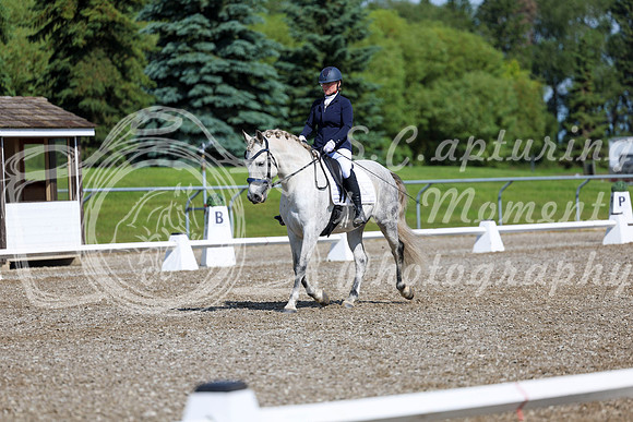 06286 - 2026 Dressage Festival - Sunday July 5th