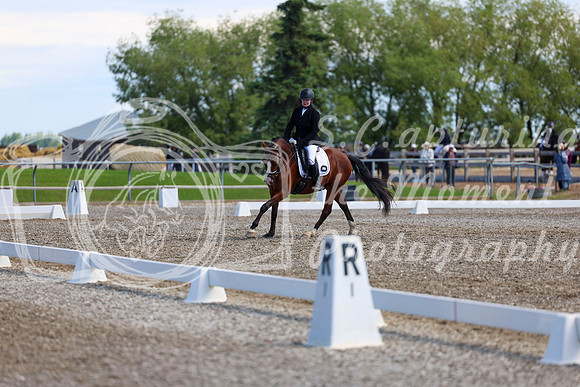 07055 - 2026 Dressage Festival - Sunday July 5th
