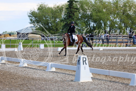 07056 - 2026 Dressage Festival - Sunday July 5th