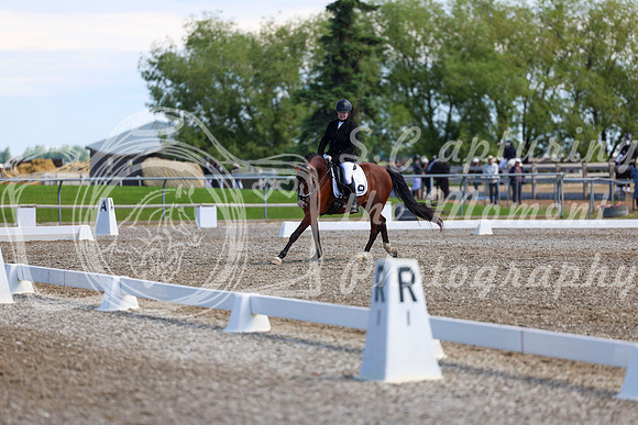 07057 - 2026 Dressage Festival - Sunday July 5th