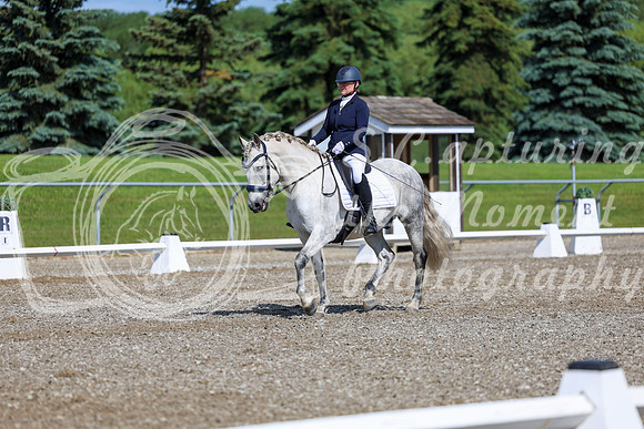 06290 - 2026 Dressage Festival - Sunday July 5th