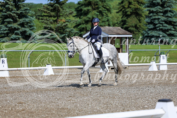 06291 - 2026 Dressage Festival - Sunday July 5th
