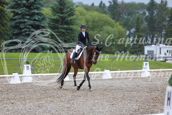 03591 - 2026 Dressage Festival - Sunday July 5th