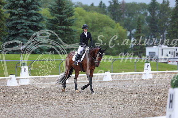 03593 - 2026 Dressage Festival - Sunday July 5th