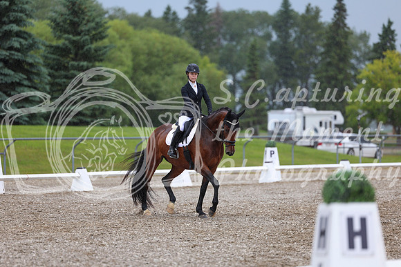 03594 - 2026 Dressage Festival - Sunday July 5th
