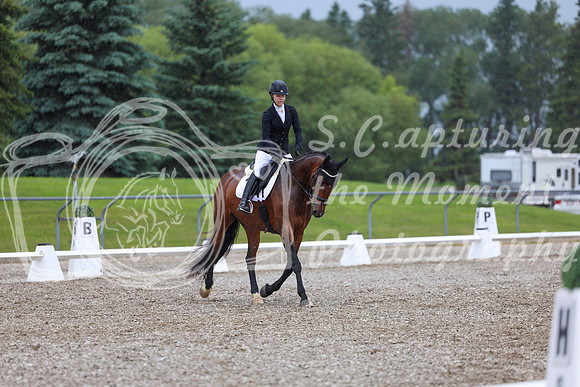03592 - 2026 Dressage Festival - Sunday July 5th