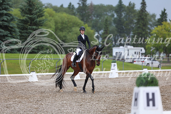 03595 - 2026 Dressage Festival - Sunday July 5th