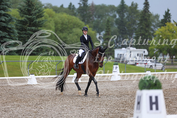 03596 - 2026 Dressage Festival - Sunday July 5th