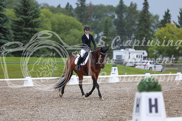 03598 - 2026 Dressage Festival - Sunday July 5th