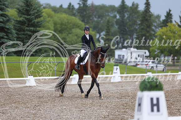 03597 - 2026 Dressage Festival - Sunday July 5th