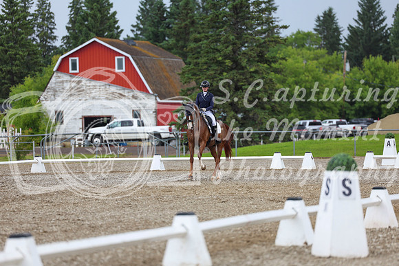 03872 - 2026 Dressage Festival - Sunday July 5th