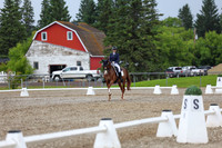 03875 - 2026 Dressage Festival - Sunday July 5th