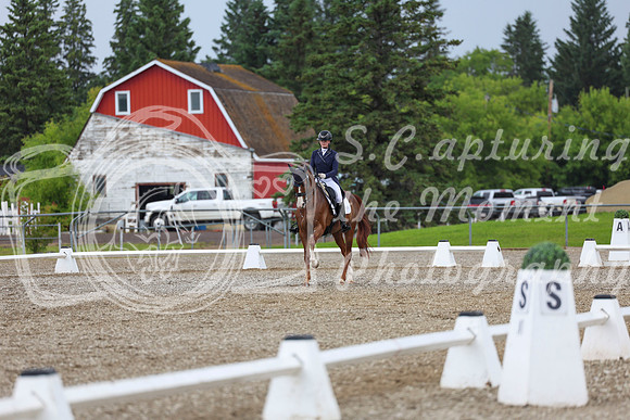03874 - 2026 Dressage Festival - Sunday July 5th