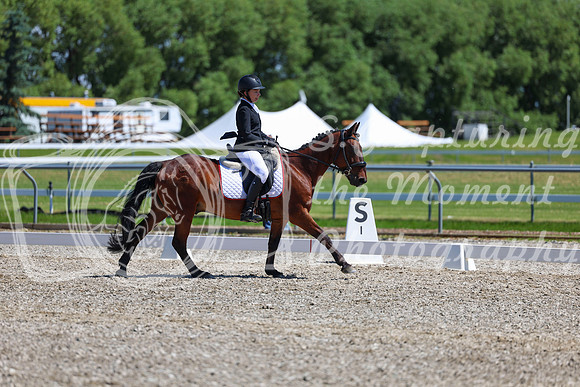11785 - 2026 Dressage Festival - Sunday July 5th