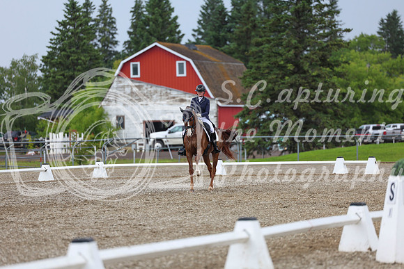 03876 - 2026 Dressage Festival - Sunday July 5th