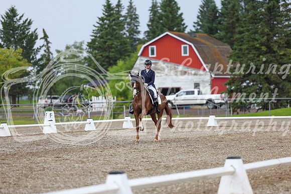 03879 - 2026 Dressage Festival - Sunday July 5th