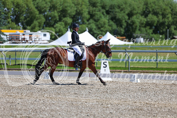 11786 - 2026 Dressage Festival - Sunday July 5th