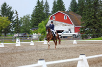 03880 - 2026 Dressage Festival - Sunday July 5th