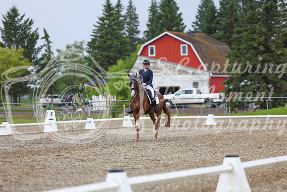 03880 - 2026 Dressage Festival - Sunday July 5th
