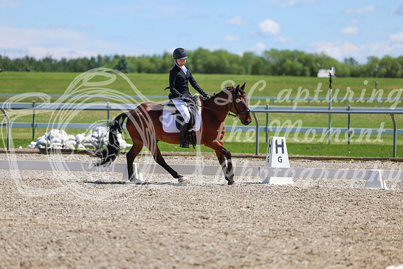 11787 - 2026 Dressage Festival - Sunday July 5th
