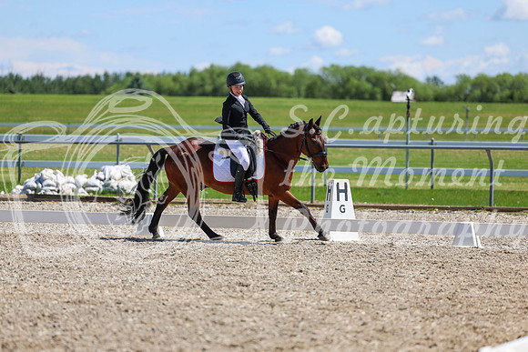11789 - 2026 Dressage Festival - Sunday July 5th