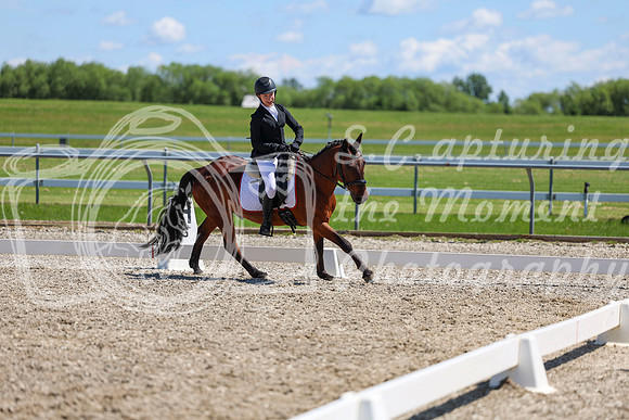 11790 - 2026 Dressage Festival - Sunday July 5th