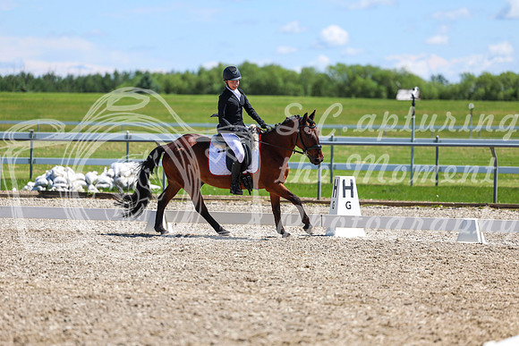 11788 - 2026 Dressage Festival - Sunday July 5th