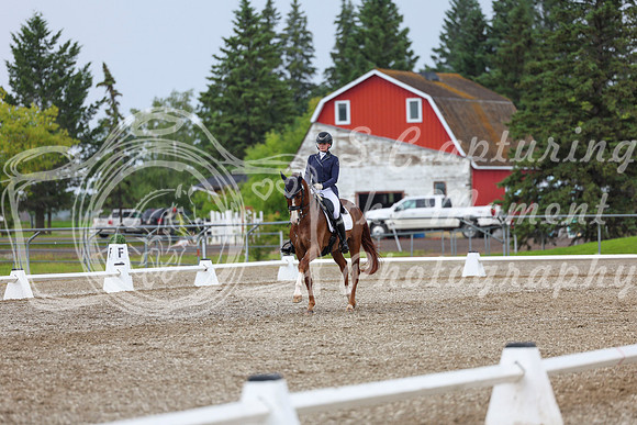 03882 - 2026 Dressage Festival - Sunday July 5th