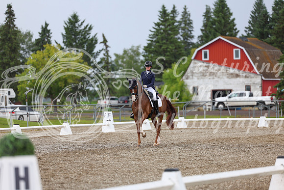 03883 - 2026 Dressage Festival - Sunday July 5th