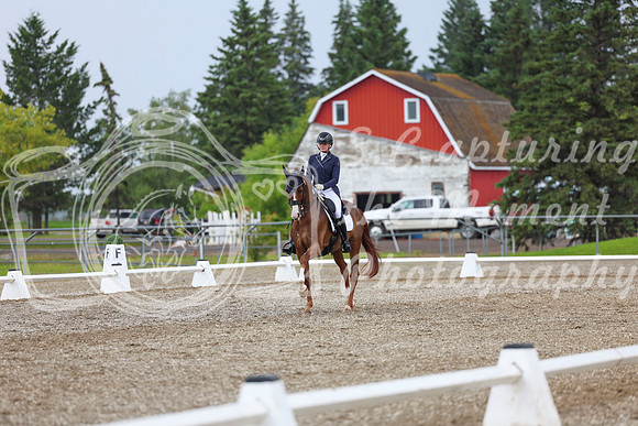 03881 - 2026 Dressage Festival - Sunday July 5th