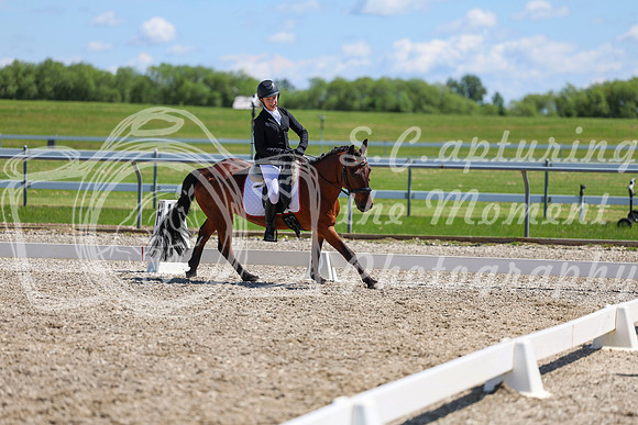 11791 - 2026 Dressage Festival - Sunday July 5th