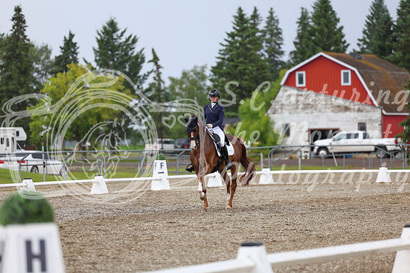 03885 - 2026 Dressage Festival - Sunday July 5th
