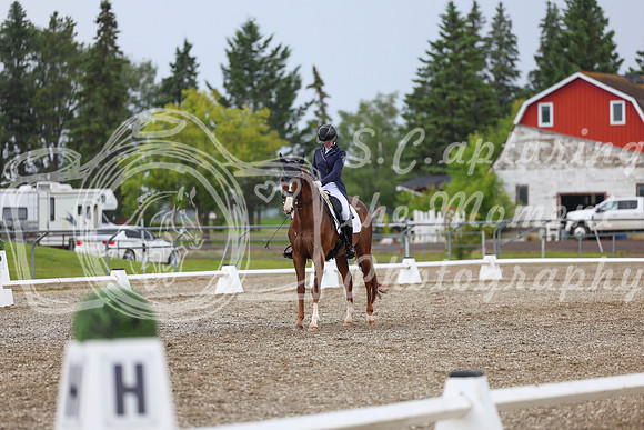 03887 - 2026 Dressage Festival - Sunday July 5th